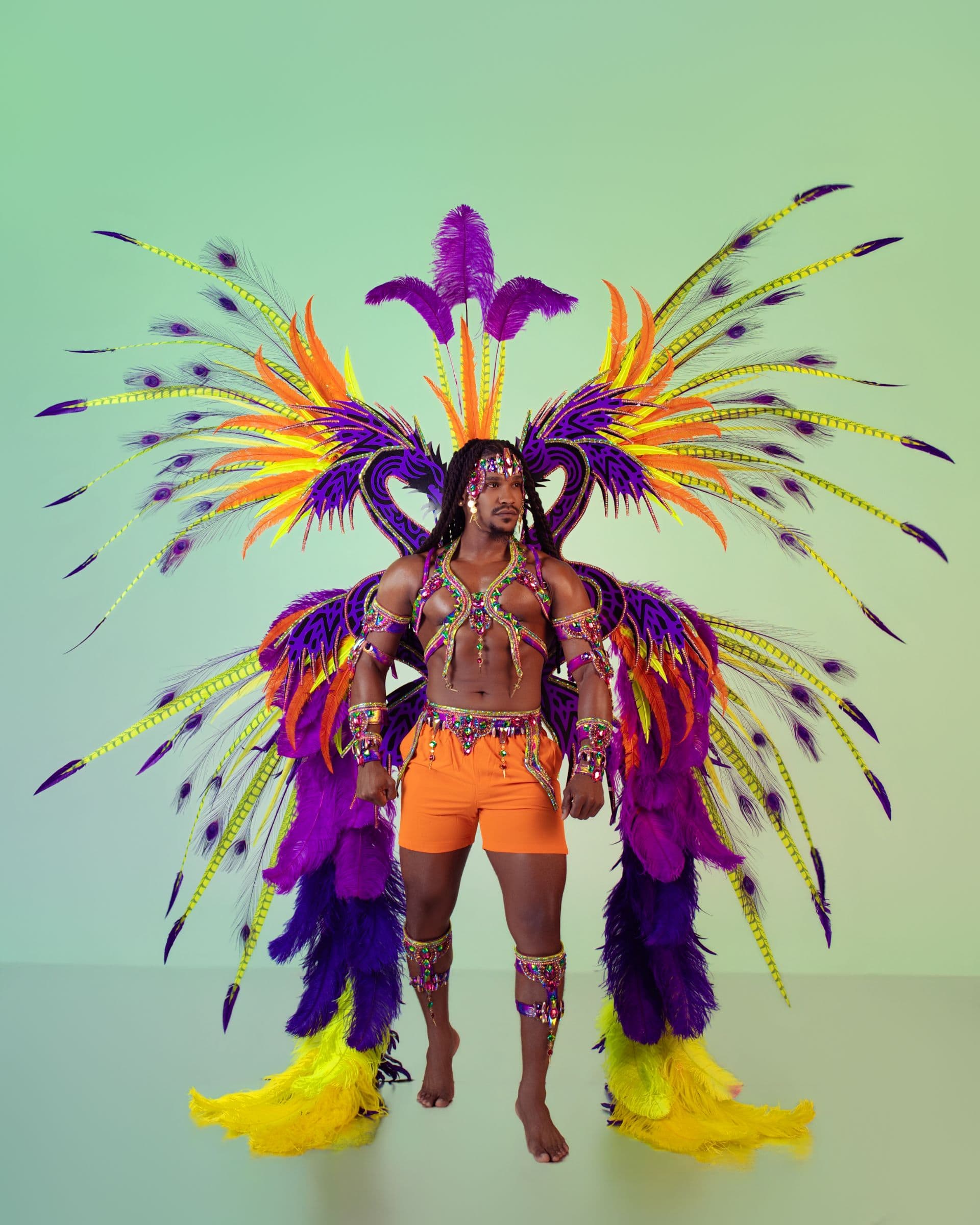 Package image